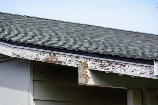 Orlando Wood Rot Repair