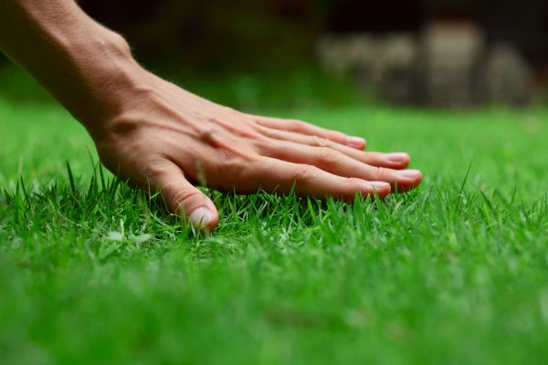 Orlando Lawn Treatment