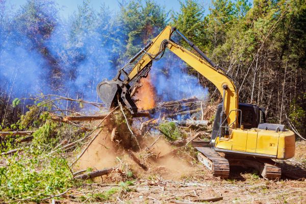 Orlando Land Clearing
