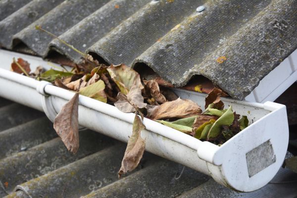 Orlando Gutter Cleaning